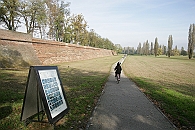 Img 095